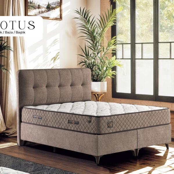 Lotus Set