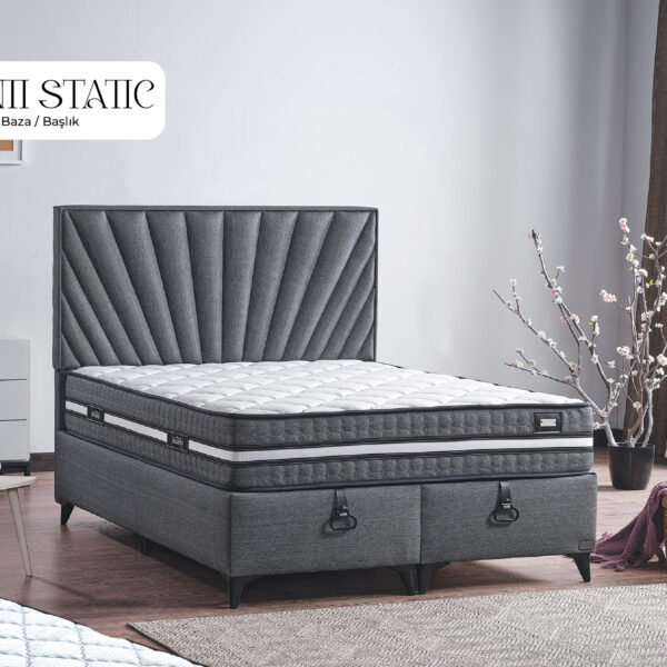 Anii Static Başlık