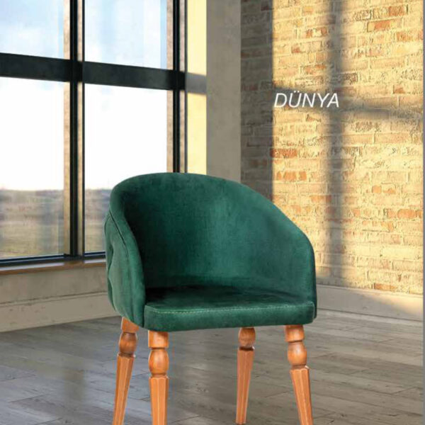DÜNYA