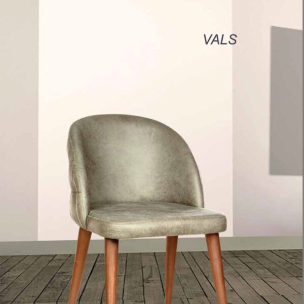 VALS