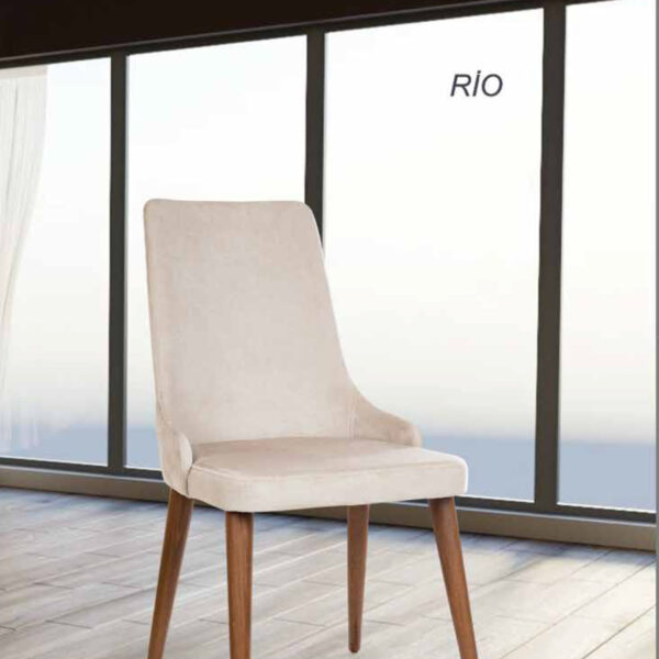 RİO