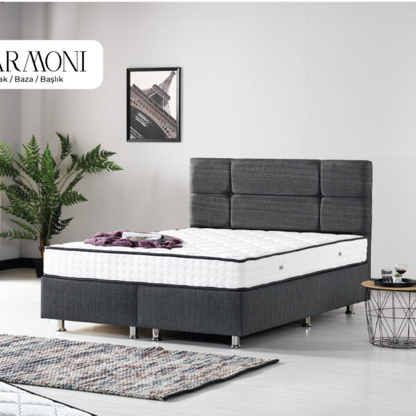 Armoni Set